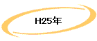 H25ǯ