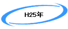 H25ǯ