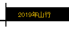 2019ǯ