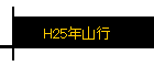 H25ǯ